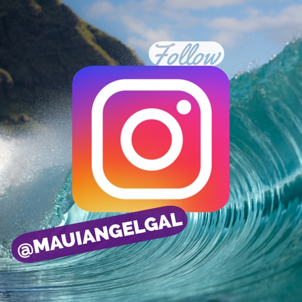 IG  😁🌺🏝